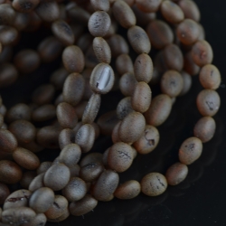 Baltic amber olive cherry Bracelet